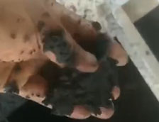 �B��Óˮ�C�F(xi��n)��